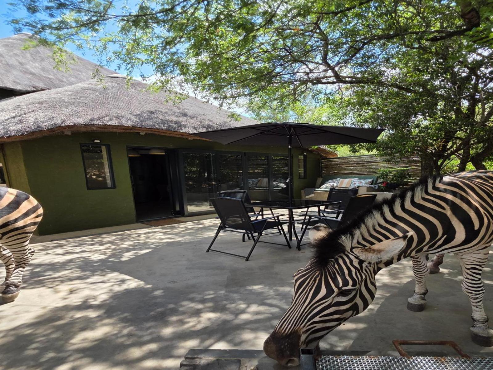 Croc Orvyll'S Kruger Lodge Marloth Park Exterior photo